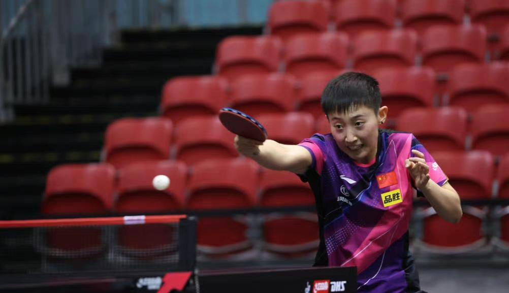 华体会app-中国队绝杀法国队，马琳惊艳四座的简单介绍