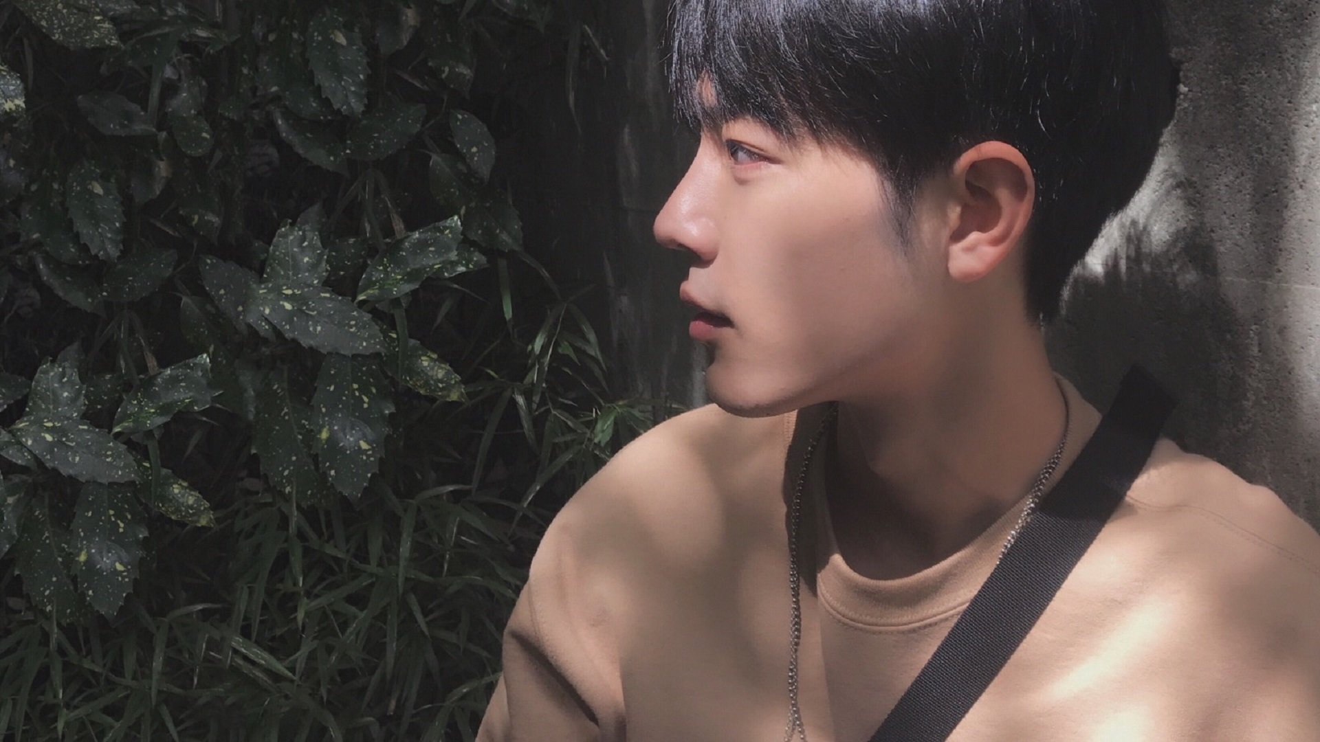 华体会体育-冰与火之歌，范弗利特关键回合的冷静绝杀，猛龙力克吉林展王者之风