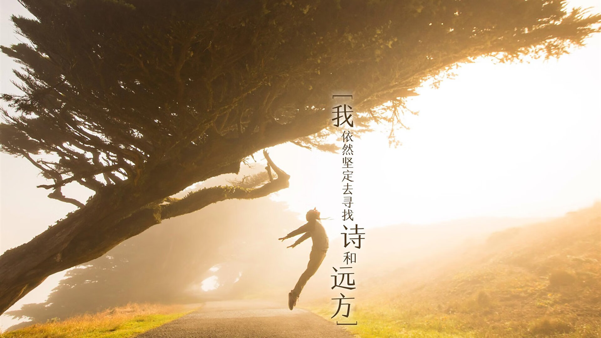 华体会登录-唯一之境，2026世界杯B组，哈兰德铸就意大利钢铁防线，泰国奇迹止步于此